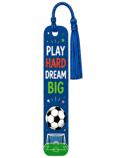 Play Hard Dream Big