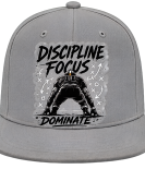 Discipline Focus Dominate