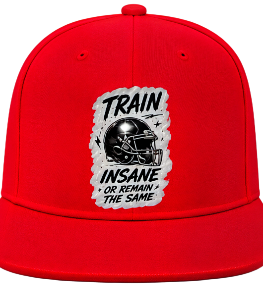 Train Insane Or Remain The Same