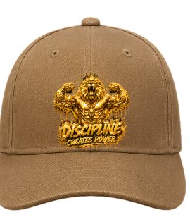 Discipline Creates Power